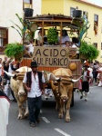 Acido Sulfurico
Acido, Sulfurico, Curioso, Tacoronte, Tenerife, nombre, para, carroza, romeria