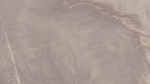Colibri (Nazca)