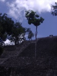 calakmul