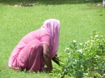 mujer en el jardi del Qutub