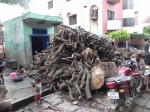 varanasi
varanasi