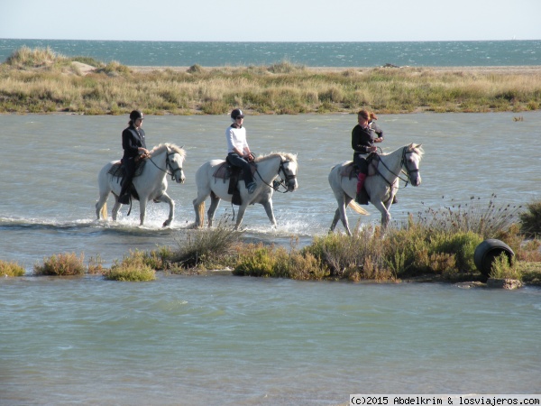 La Camarga
Los paseos a caballo son una actividad típica en esta región de marismas costeras.
