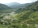 Terrazas de arroz
montaña, agricultura