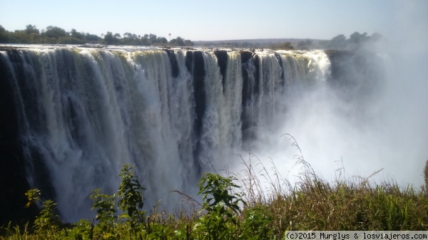 Victoria Falls: Main Falls
Las Main Falls (Victoria Falls) vistas desde los miradores.
