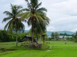 Arrozales Langkawi