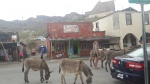 Oatman