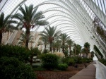 La Ciudad de las Artes y las Ciencias ( Valencia )