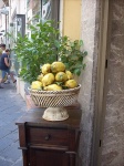Limones  en Taormina...