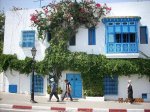 Sidi - Boud - Said ( Túnez )
Sidi, Boud, Said, Túnez, calles, casas, azules, combinan, azul
