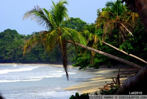 Marea baja
parque nacional cahuita ,caribe costa rica
