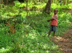 El niño y su cabra
tanzania,zanzibar