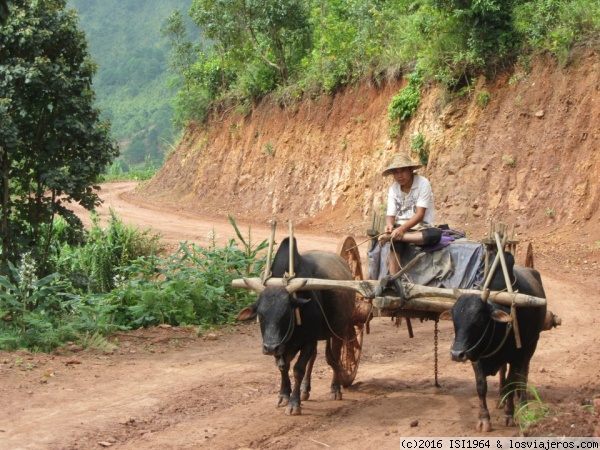 KALAW
las montañas de Kalaw.
