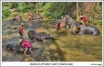 Maesa Elephant Camp (Chiang Mai)
Maesa, Elephant, Camp, Chiang