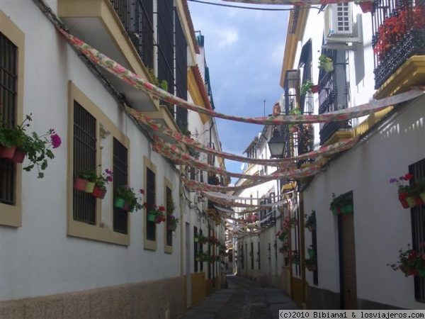 Adornos
Calle adornada durante 