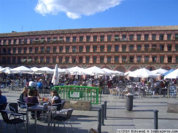 De cañas en Córdoba
Disfrutando del sol, de las tapas y de los amigos en la Plaza de la Corredera, Córdoba.
