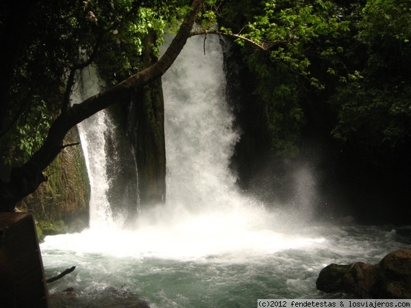 Fuentes del Jordán
Este es el lugar del nacimiento del río Jordán. Parece pertenecer a otro lugar del globo que no sea Oriente Medio.
