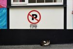 ¡Pa' chulo yo!
Cat rebel pasota gato Irlanda Killarney aparcamiento humor