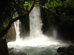 Fuentes del Jordán
Israel Jordán naturaleza