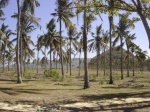 El panorama de los alrededores es este...Lombok