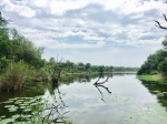 Lake Panic, Bird Hide in Skukuza