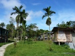 Casas en poblado penan (Borneo)
penan gunung mulu borneo