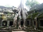 Templo Tha Phrom.
Ta Phrom Angkor Siem Reap Camboya