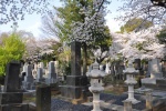 Cementerio Yanaka 9