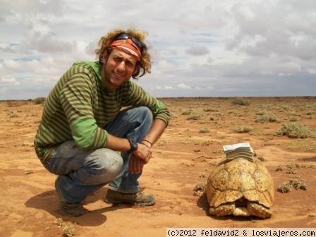 somaliland
Lo que está encima de la tortugita eran 5 euros en la moneda mas grande, fuimos a cambiar al banco y teniamos para llevar 50 euros una mochila, echar gasoil 20 minutos contando.
