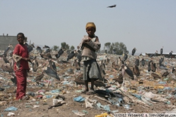 kenia otros parques
Que no os confundan las fotos, eran gente muy feliz, sus casitas estaban  echas de basura.
Hay que ser muy viajero para convivir con ellos y no mirarle ni siquiera un segundo como un ser superior, porque de veras somos todos = , :) Son freegans desde generaciones.
