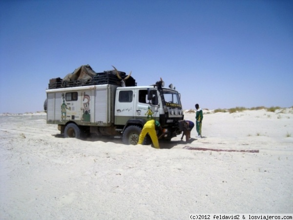 Lago Chad
Y yo que llevaba el bañador.... jaja
Pero lo mejor que el de la frontera de Niger nos encasquetó a la fuerza llevar a Chad estos dos deportitas.
¿A si? No toqué una pala!! jaja. Precioso tramo.
