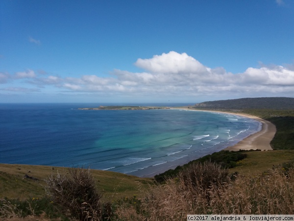 bahía de Tautuku
Zaona de Catlins. Bahía de Tautuku vista desde el mirador de la colina Florence
