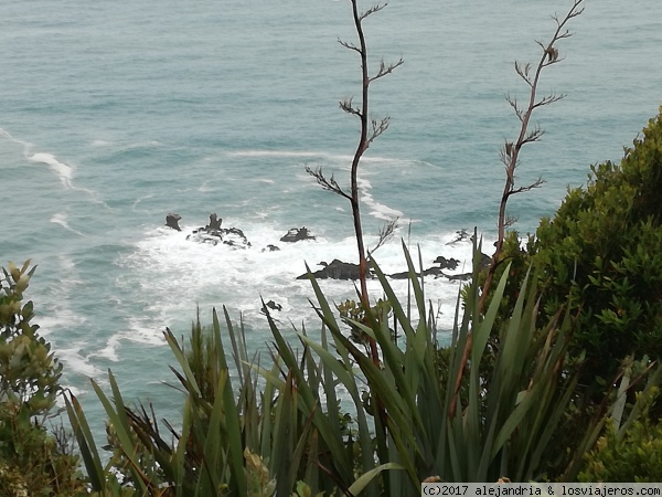 Knights Point Lookout
El mar de Tasmania visto desde este mirador. En la carretera hacia Haast
