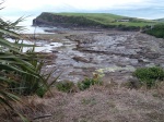 Vista de Curio Bay
Vista, Curio, Bahia, Catlins, petrificados, zona