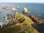 Nugget Point - Catlins
Nugget, Point, Mirador, Catlins, costa