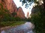 Río Virgin
Río, Virgin, Discurrir, Riverside, Walks, Zion, río, orillas