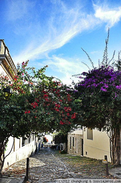 calle de Colonia del Sacramento
calle típica de Colonia del Sacramento
