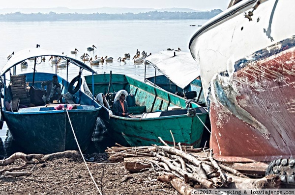 pescadores del lago Tana
pescadores del lago Tana
