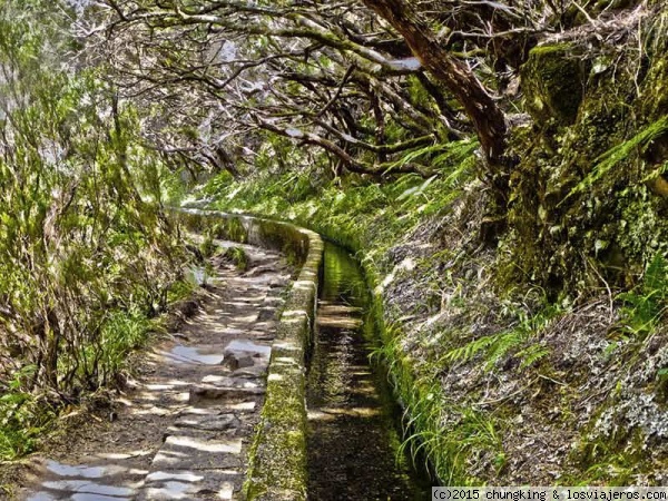 levada 25 fontes
levada 25 fontes en Madeira
