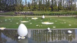 título chistoso facilón: un parque con huevos
parque trinidad barcelona