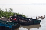 barcas y papiros en el lago tana