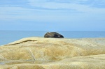 lobo marino en reposo en Cabo Polonio