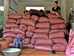 rice shop Luang Prabang Lao