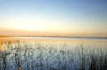 Colonia Pellegrini Esteros del Iberá Argentina