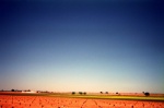 halo terrestre
planicie la mancha