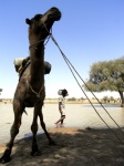 hidratación en un oasis del Thar