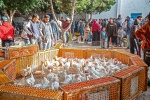 mercado de los domingos de Erriadh