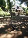 das queimadas park in Madeira island