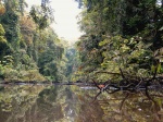 canal de la laguna parque nacional tortuguero
canal laguna parque nacional tortuguero