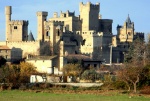 el castillo de Olite