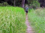 Hombre en arrozal en Vang Vieng Laos